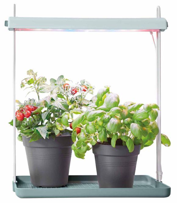 Hovedbilde Plantelys 'Lightgarden'