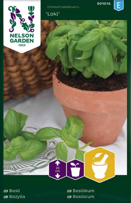Hovedbilde Basilikum 'Loki'  glattbladet, økologisk