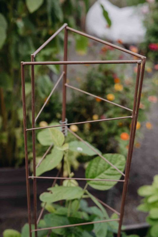 Metallespalier, til høye planter