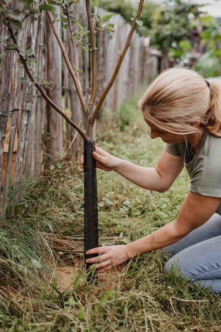 Hovedbilde Gnagbeskyttelse, 80cm 4pk