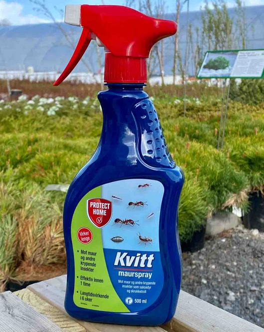 Hovedbilde Kvitt maurspray 500 ml