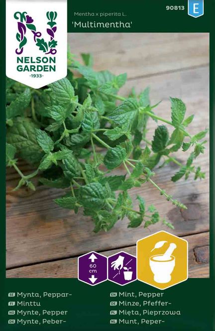 Hovedbilde Peppermynte 'Multimenta'