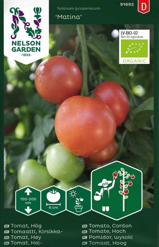 Tomat 'Matina', økologisk
