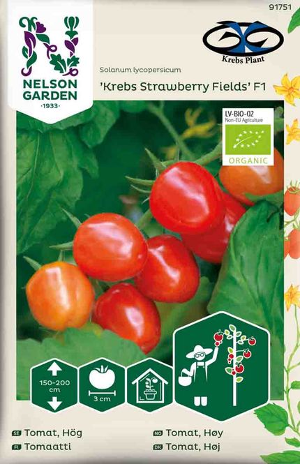Hovedbilde Cherrytomat 'Krebs Strawberry fields' F1