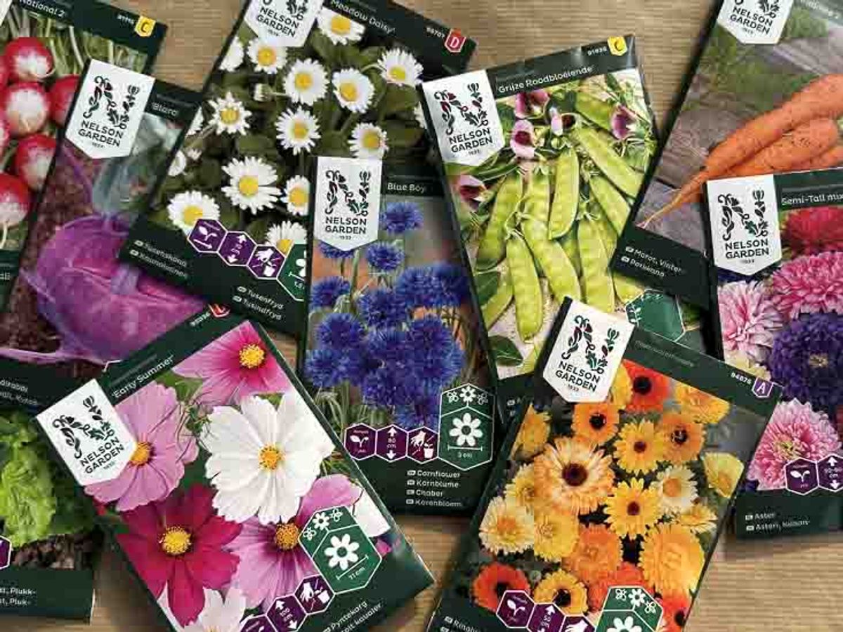 frø blomster grønnsaker krydderurter