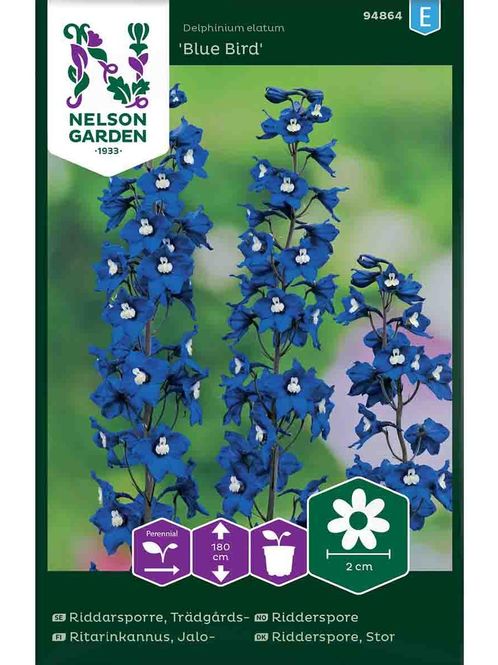 Hovedbilde Ridderspore 'Blue Bird'